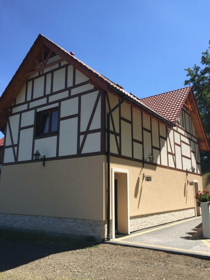 Zlote Modrzewie Duszniki Zdrój Exterior foto
